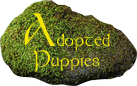 Adopted Puppies