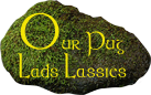 Our Pug Lads & Lassies