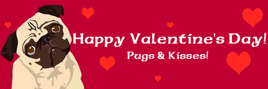 Happy Valentine&rsquo;s Day From Celtic Pugs!