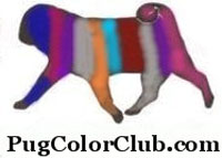 A proud member of the Pugs of Color Club!