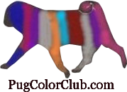 A proud member of the Pugs of Color Club!