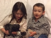 Brindle Pug and Kids!